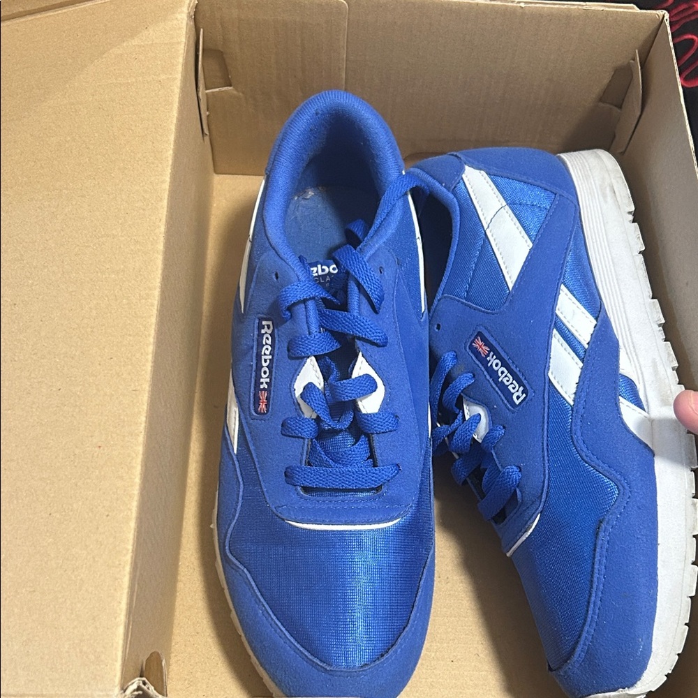 Reebok Classic Blue and White Shoes